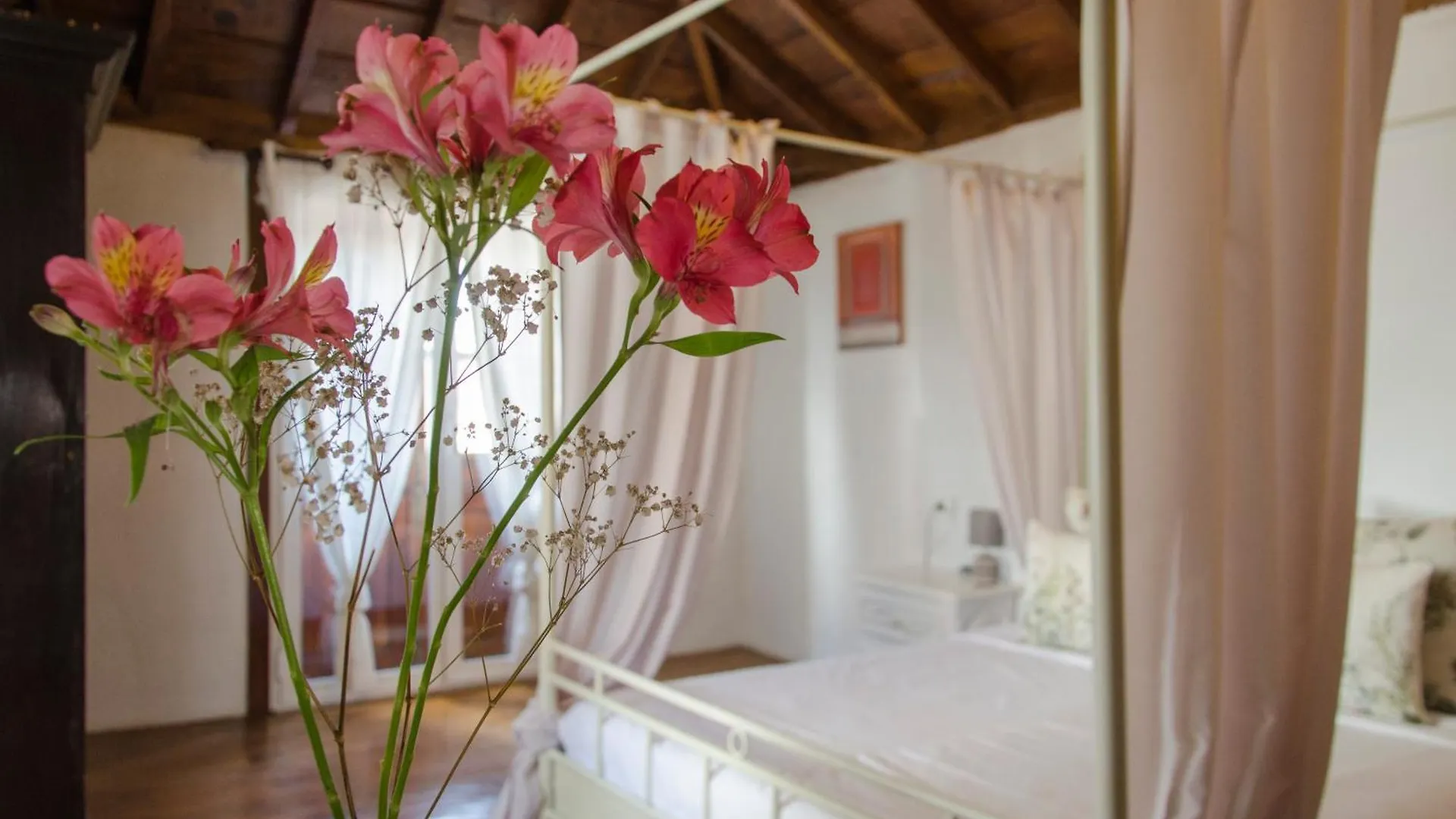 Hotel Rural Casona Santo Domingo Guimar 0*,